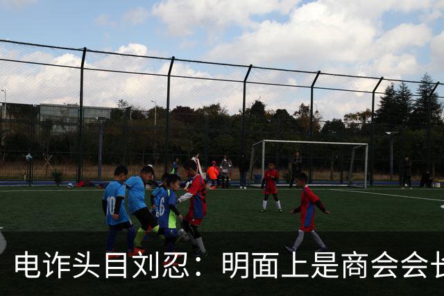 电诈头目刘忍：明面上是商会会长，背地里却坑害无数自己的同胞