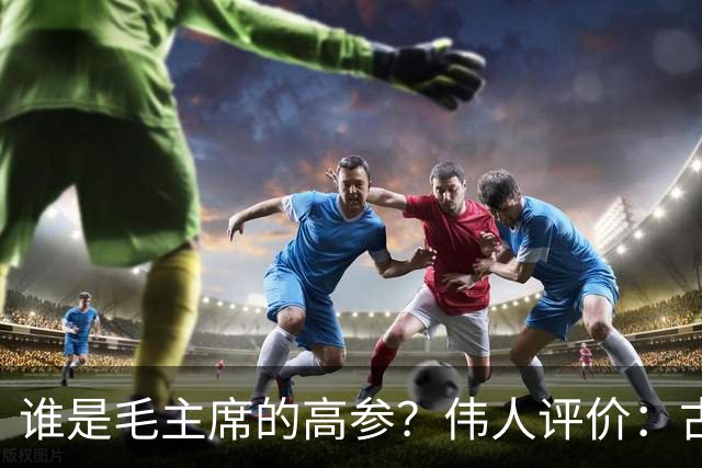 谁是毛主席的高参？伟人评价：古有孙子，今有郭子，此人智谋不输我！